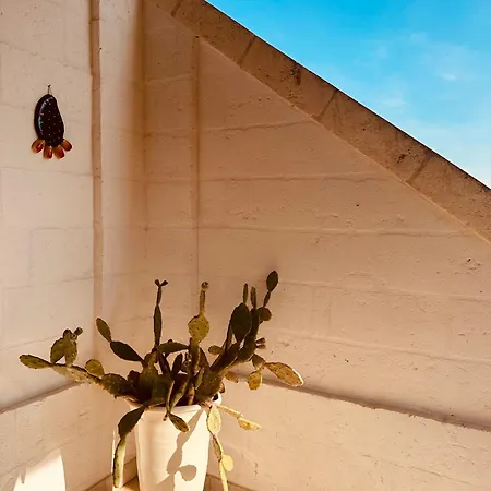 Villa Del Vento *
