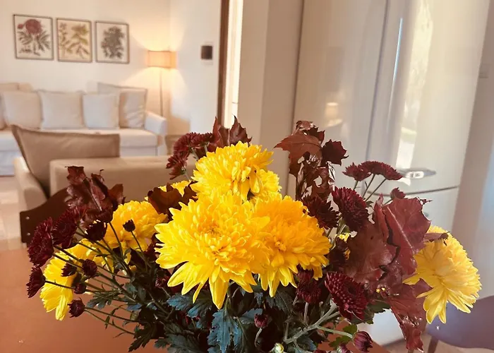 Del Vento * 폴리나노 아마레