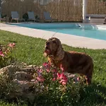 Del Vento Polignano a Mare