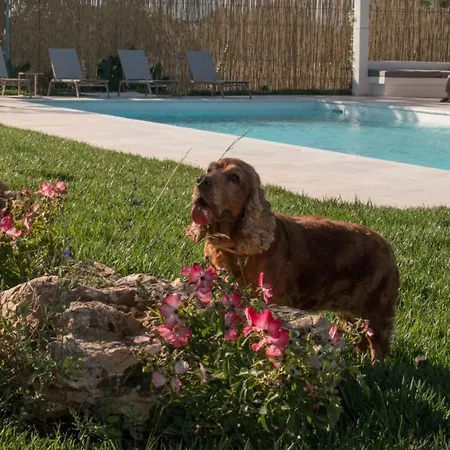 Del Vento Polignano a Mare