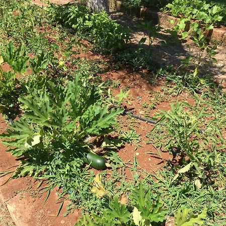 Del Vento Polignano a Mare